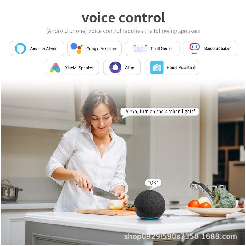 HomeKit智能触摸开关欧规Alexa远程home定时Google墙壁开关