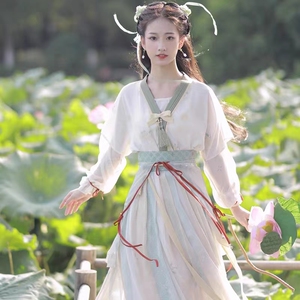 原创汉服女【赵灵儿】仙剑联名款唐制唐褙子一片式齐腰裙春夏季款