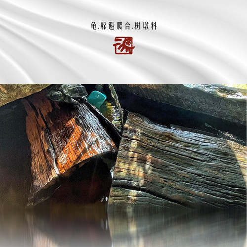 龟缸造景沉木窄桥剃刀龟晒台爬台