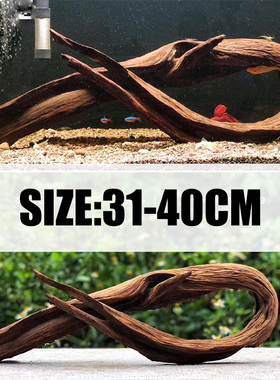 二马沉木40cm小米鱼缸造景沉木 ADA水族造景精品沉木小号小型水草