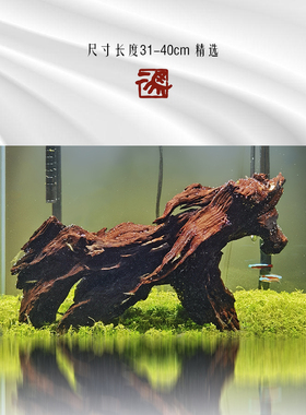 二马31-40cm小米鱼缸造景沉木 ADA水族树桩躲避 天然小型沉木造景