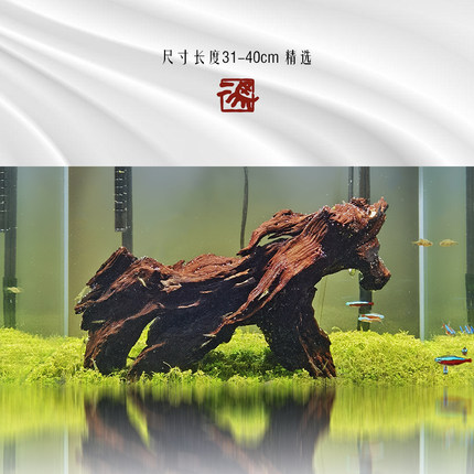 二马31-40cm小米鱼缸造景沉木 ADA水族树桩躲避 天然小型沉木造景