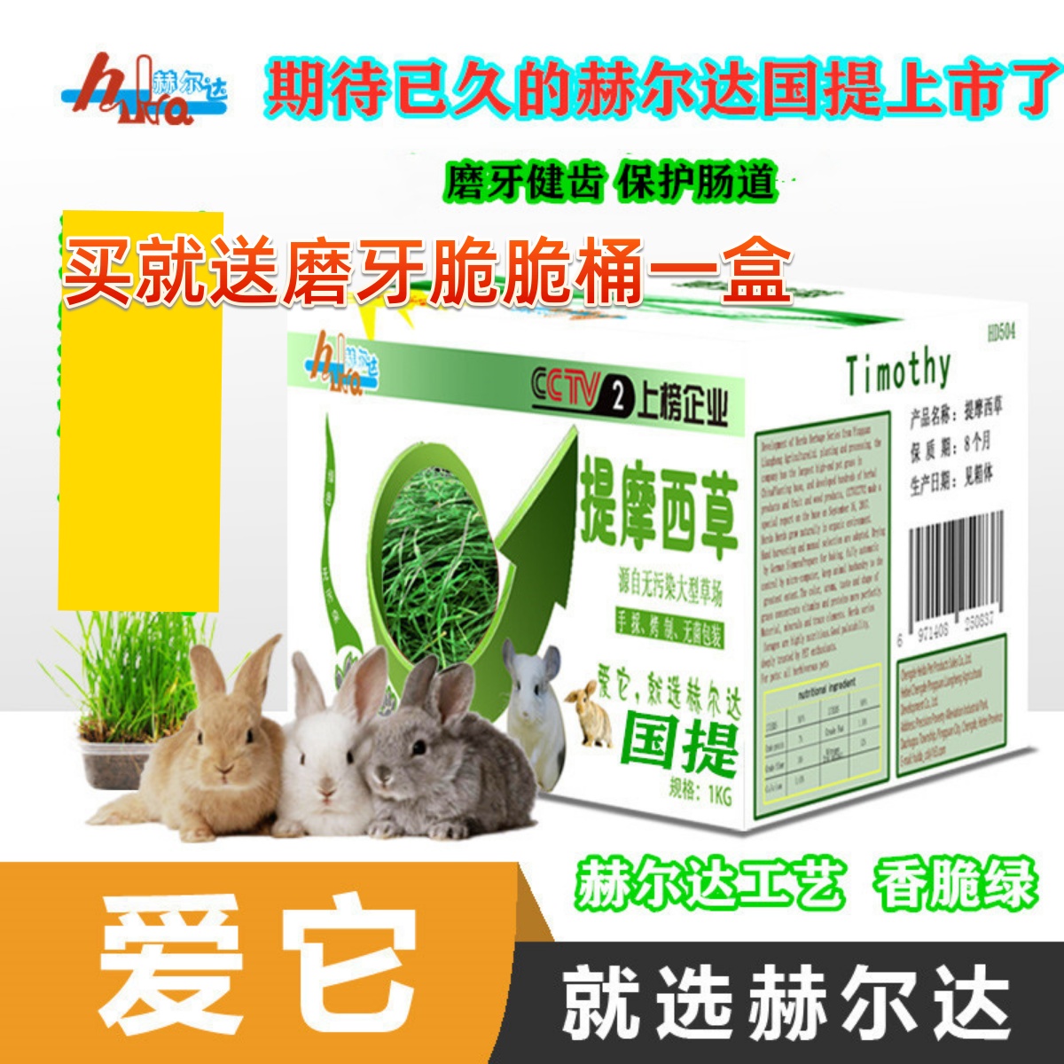 牧草豚鼠兔子提摩西荷兰猪赫尔达