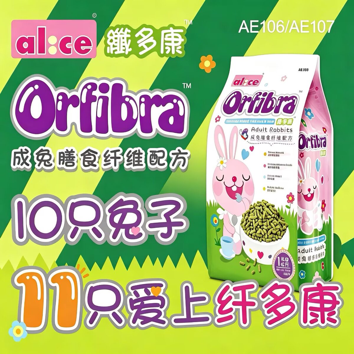 侏儒兔垂耳兔成兔粮Alice艾妮斯图片