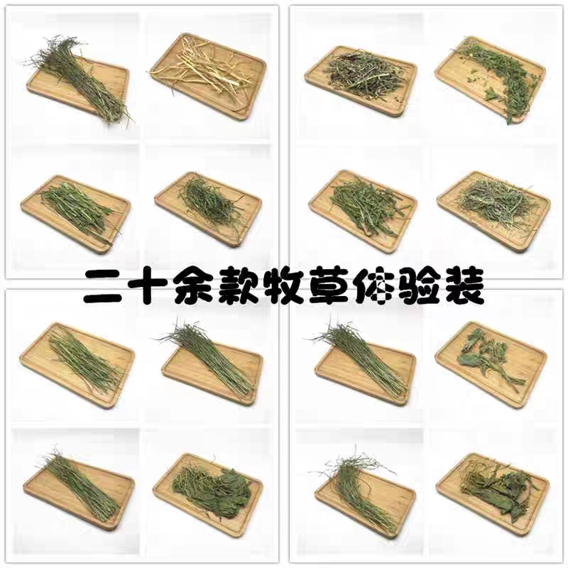 龙猫兔子荷兰猪牧草干草提摩西草