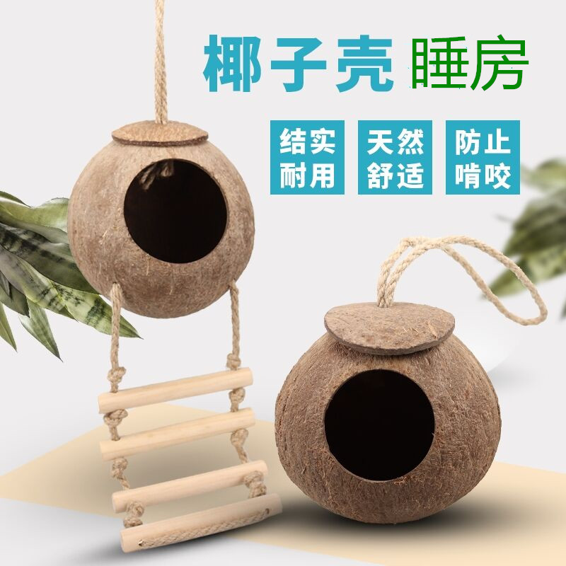 金丝熊蜜袋鼯仓鼠椰壳窝睡房