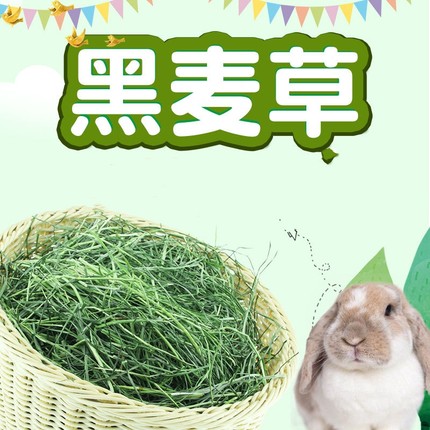 包邮2023头茬烘干特绿黑麦草兔子龙猫豚鼠荷兰猪陆龟牧草干草牧草