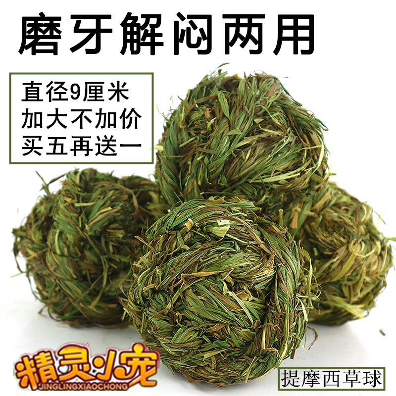 买五送一提摩西草球豚鼠磨牙玩具