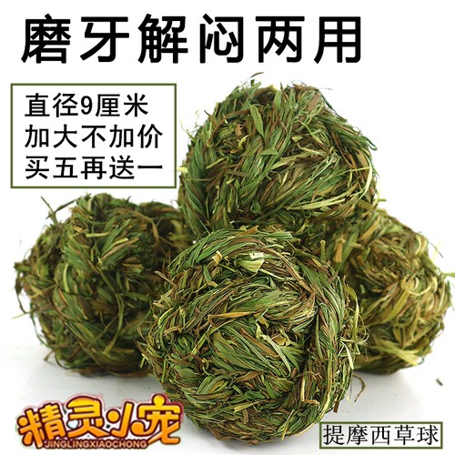 买五送一提摩西草球豚鼠磨牙玩具