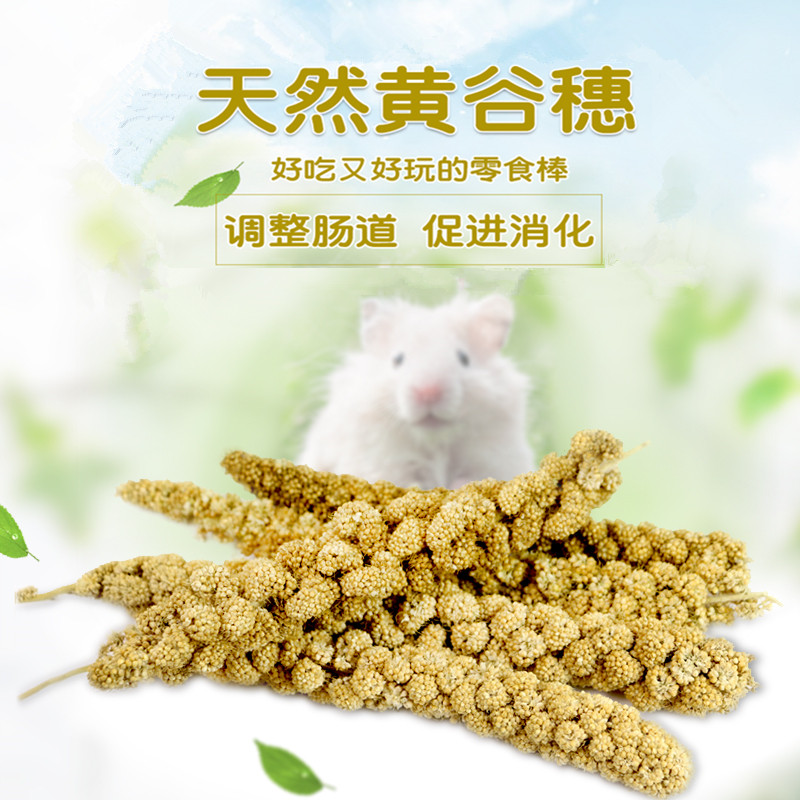 包邮黄谷穗 金丝熊仓鼠逗鼠棒 鹦鹉粮松鼠零食营养饲料 100g