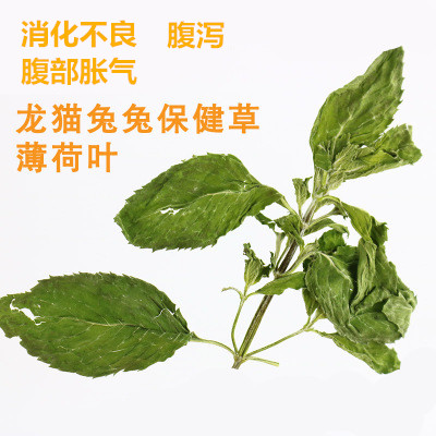 包邮 烘干薄荷叶牧草干草龙猫兔子荷兰猪豚鼠天竺鼠垂耳兔保健草,宠物/宠物食品及用品,兔兔干草,淘宝优惠券,粉丝福利购,淘宝优惠卷