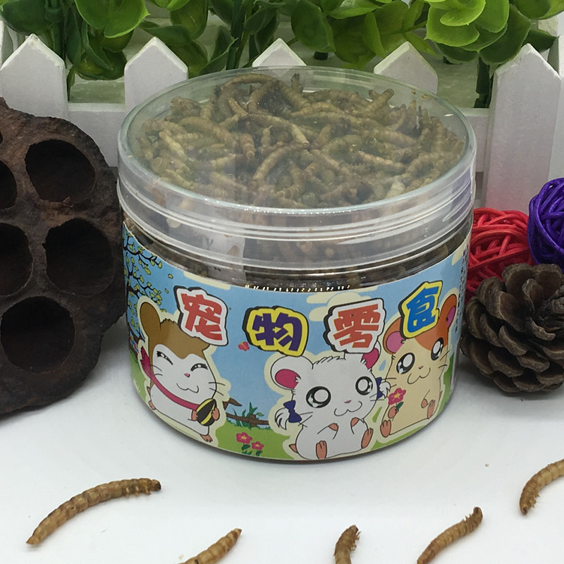 面包虫干仓鼠蜜袋鼯刺猬零食营养