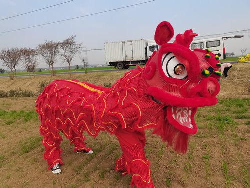 舞狮道具整套成人双人狮子头单人儿童表演狮舞狮子道具