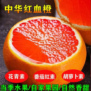 当季新鲜水果秭归中华红橙血橙5斤9斤整箱大果现摘现发