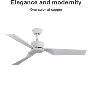 Flower 电风吊扇 Ones简约现代吊扇客厅餐厅变频静音遥控2026新款