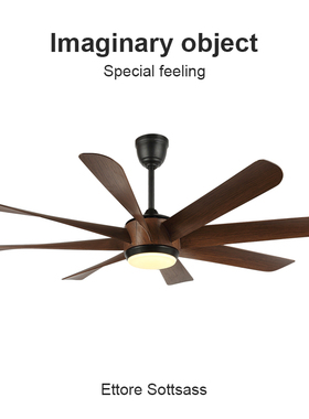 Flower Ones美式变频静音降噪电风扇简约现代客厅餐厅创意吊扇灯