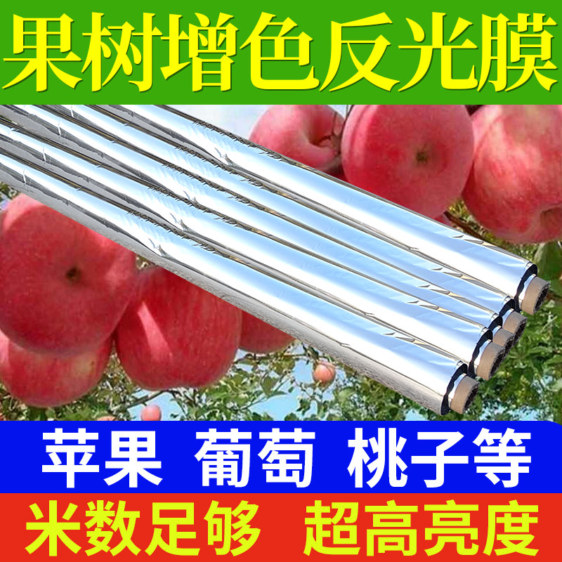 反光膜农用苹果葡萄桃子果树果园图片