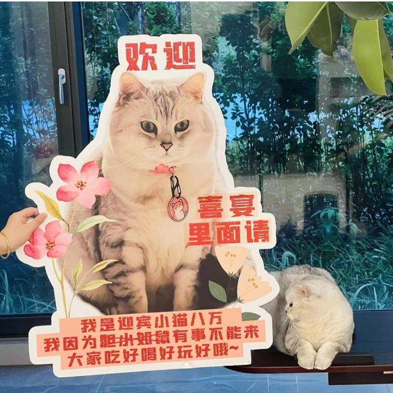 小红书网红宠物kt板婚礼猫咪狗狗婚礼迎宾牌定制手举牌kt板定制