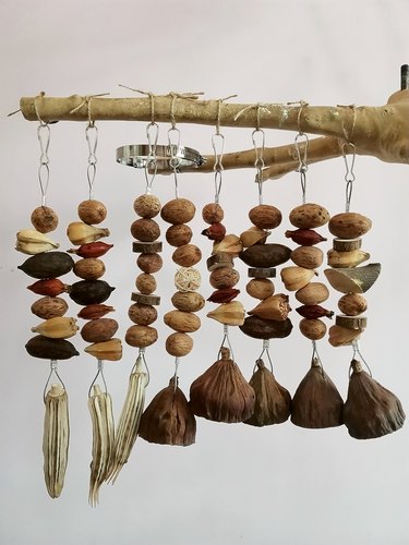 啃咬解闷鹉林外传益智鹦鹉玩具