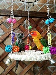 鹦鹉啃咬玩具吊床吊桥站架站棒玉米皮秋千牡丹玄凤虎皮鸟笼用品