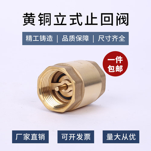 立式止回阀4分6分1寸DN15单向阀20黄铜25内外丝32表前后40带网50