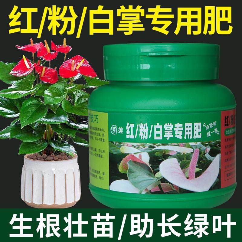 白掌花专用肥红掌花肥料粉掌花有机肥复合肥开花盆栽营养液颗粒肥