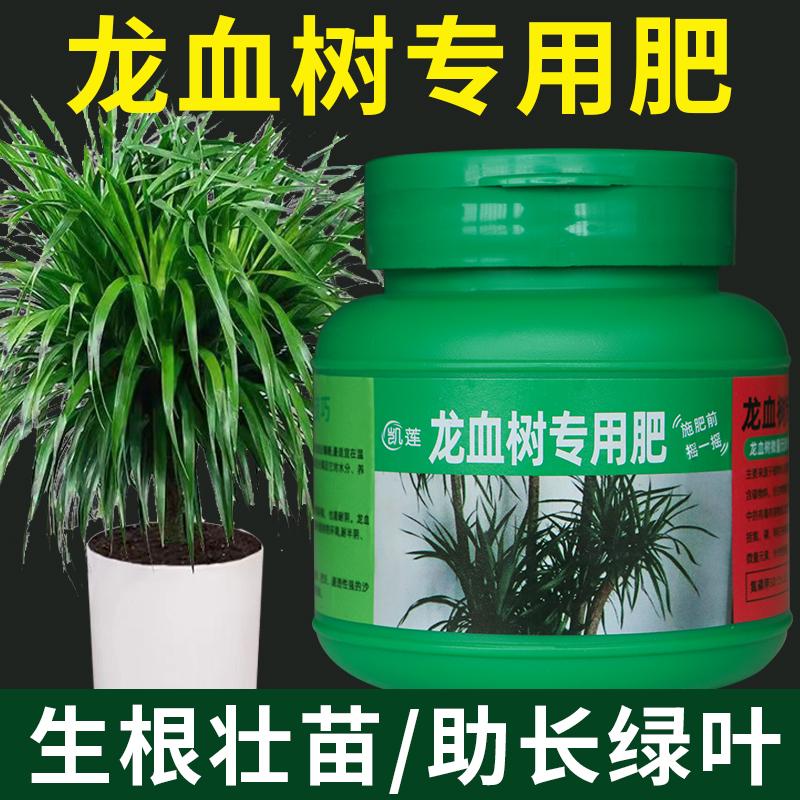 龙血树专用肥龙须树肥料化肥有机肥复合肥营养液盆景肥颗粒肥绿叶