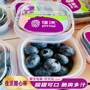 佳沃蓝莓L25花香蓝莓随心杯18 孕妇高端新鲜水果甜脆浆果云南蓝莓