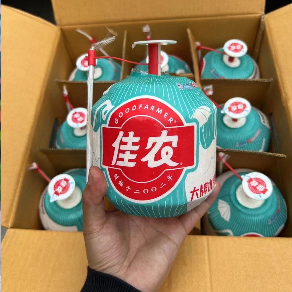 佳农泰国奶香椰青孕妇水果