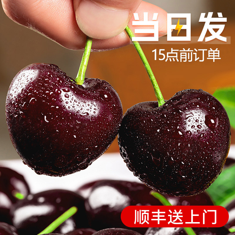 车厘子桑提娜智利进口2j3j4j新鲜应季水果原装5斤santina顺丰包邮