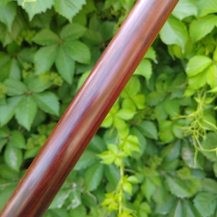 楚楚飘逸天津杨式太极小花枪手工制作小叶紫檀标准尺寸定制