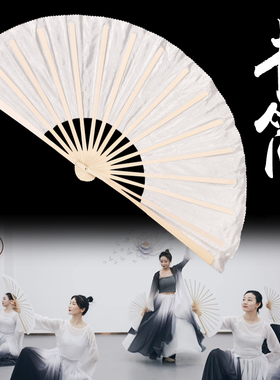 古典舞《书简》舞蹈扇子白色纸扇书生象王行跳舞扇功夫扇上春山扇