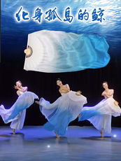 Танцевальный инвентарь