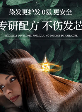 嘉瀛疗发博士无氨染发剂流行免漂蓝黑色家用盖白发植物染发膏