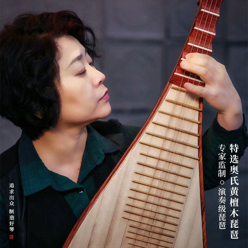 乐海杨靖老师监制琵琶914JZ奥氏黄檀木材质原木色专业考级演奏用