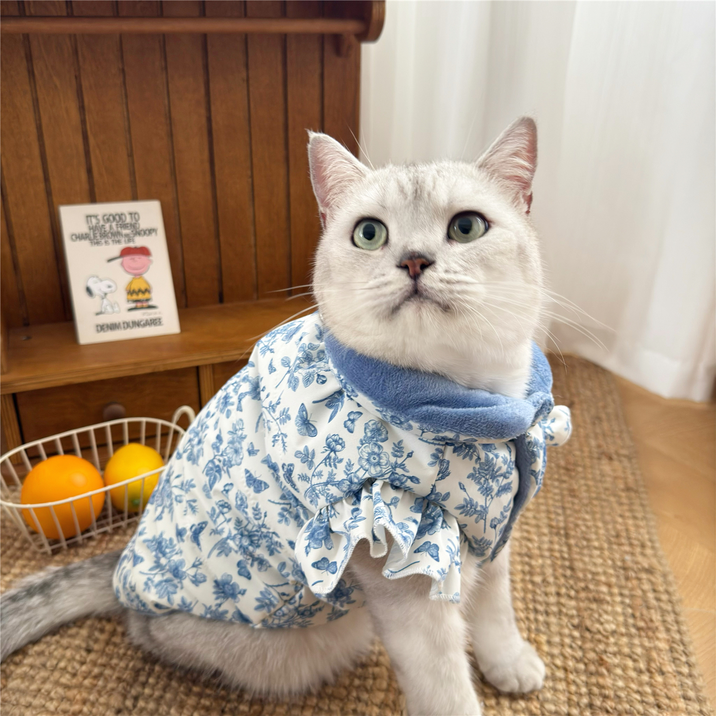 猫咪衣服秋冬保暖加绒棉服飞袖马甲背心英短布偶加菲可爱冬装外套