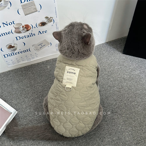 秋冬装宠物猫咪衣服冬季保暖幼猫矮脚美短蓝猫金渐层可爱加绒背心