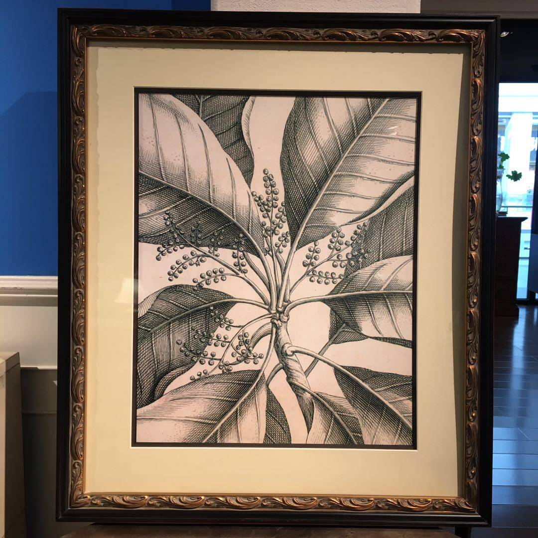 正版现货简美欧式经典黑白色系植物内容棕黑实木画框白卡纸装饰画