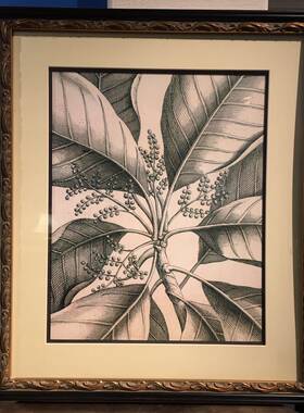 欧式风黑白植物内容实木装饰画