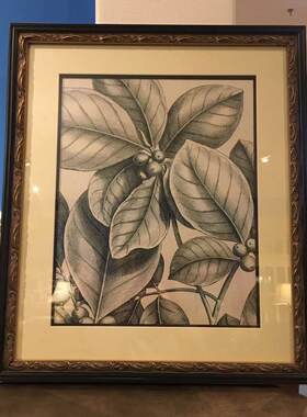 欧式风黑白植物内容实木装饰画