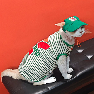 ins风2026 无毛猫夏款 麦当当7便利背心猫咪套装 带帽子跨境热销款