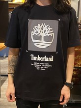 短袖 韩国正品 正面树标中性时尚 Timberland添柏岚男士 A2D62001 代购