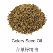 利肝胆 芳香芹菜籽单方精油10ML 肌肤斑点净化 嫩肤助消化纯精油