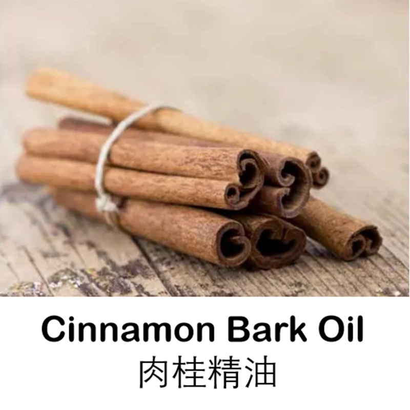 纯单方精油进口斯里兰卡肉桂精油10ml温暖身心 香薰按摩温暖肠胃