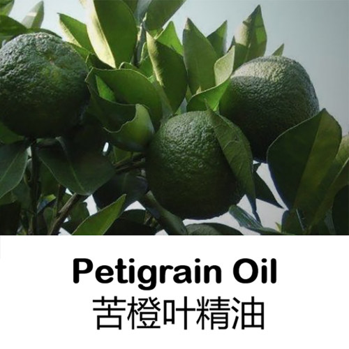 单方精油10ML沉静放松助眠
