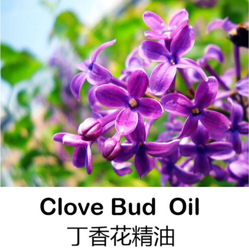 芳香居丁香花苞芳疗级纯单方精油10ml口腔保养牙齿健康 舒缓压力 - 封面