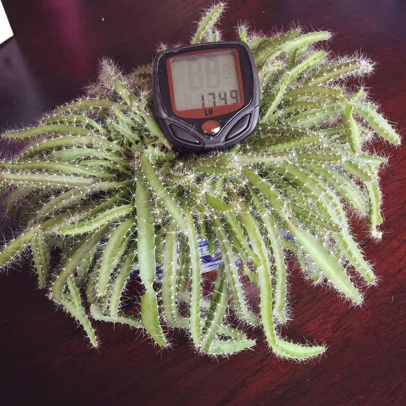 Tableau de bord vélo - Ref 2422519 Image 5