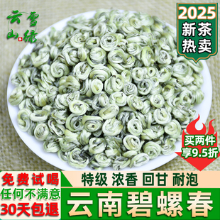 碧螺春2025新茶特级云南碧螺春绿茶单芽雪芽螺浓香型茶叶散装500g
