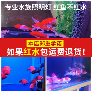 森森LED灯T8单边针插灯管龙鱼缸三基色彩变色灯水族箱草缸造景灯