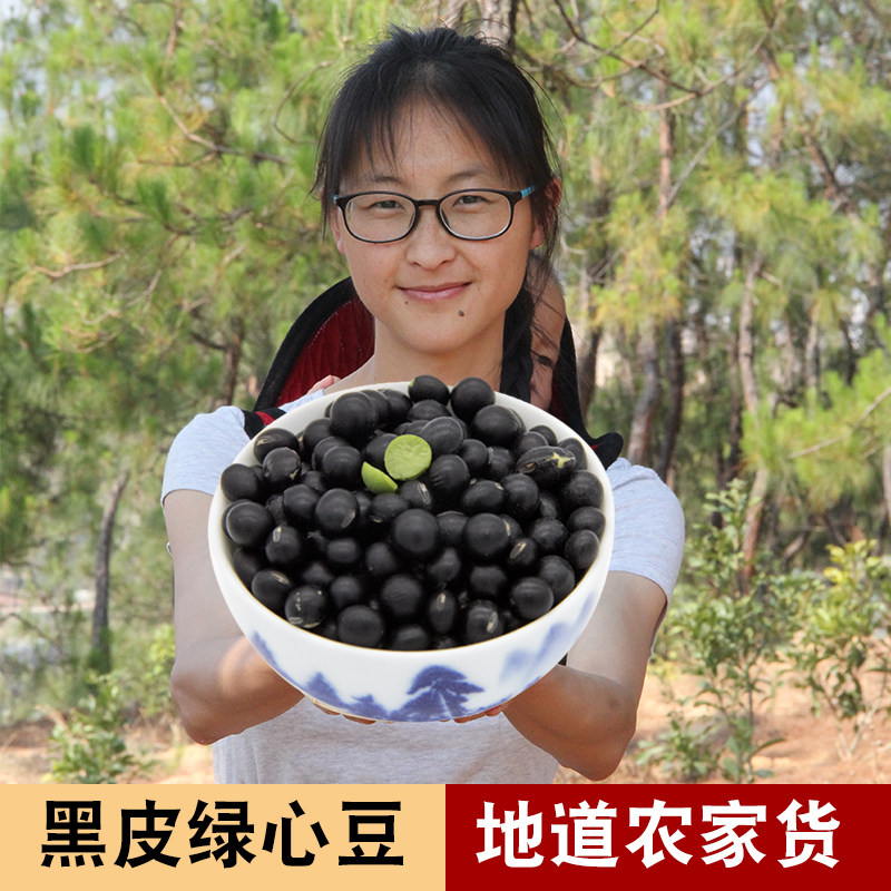 云南农家自产小黑豆黑皮绿心1000克包邮圆粒种子杂粮粗粮可炖熬粥